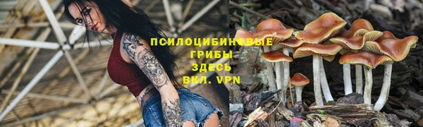 твердый Алзамай