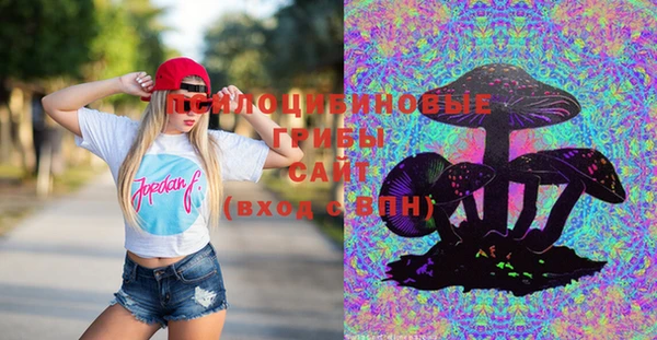 твердый Алзамай