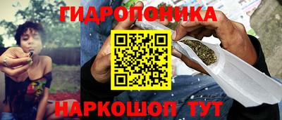 индика Донской