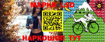 индика Донской