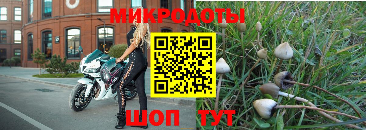 Псилоцибиновые грибы Magic Shrooms  Псилоцибиновые грибы Magic Shrooms  Лысьва  Вход с VPN 